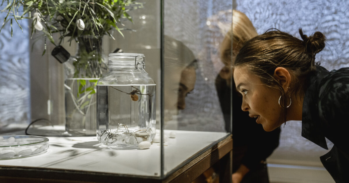 Museum Jan Cunen | Leven en laten leven, Hoe bio art de toekomst…